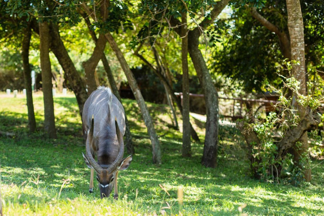 Sodwana Bay Lodge House 34 Bagian luar foto
